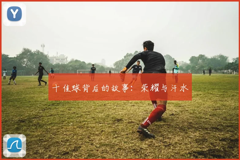 十佳球背后的故事：荣耀与汗水